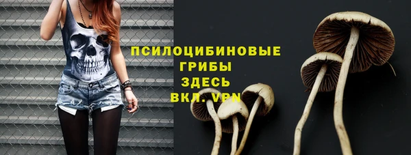 таблы Арсеньев