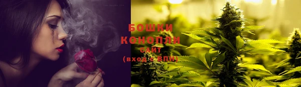 бошки Аркадак